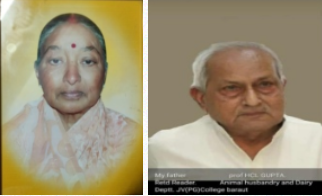 Mr. H.C.L. Gupta